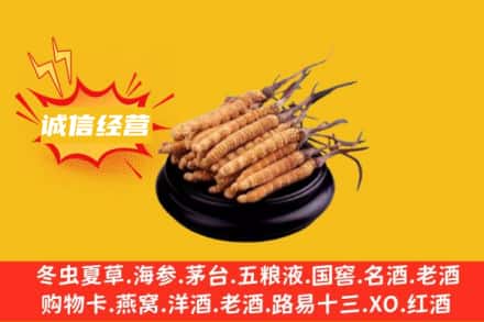 铁岭昌图县回收冬虫夏草